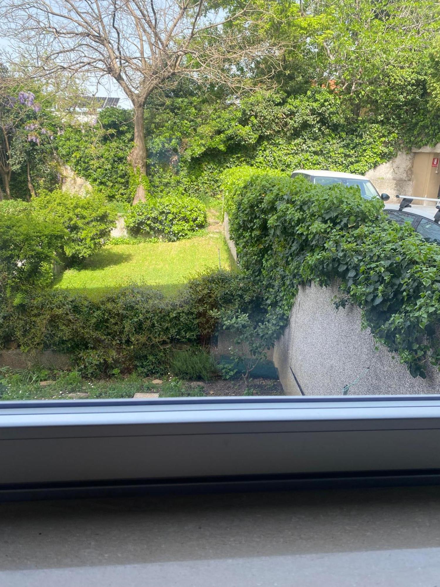トリエステ Gabriella Bed & Breakfast エクステリア 写真